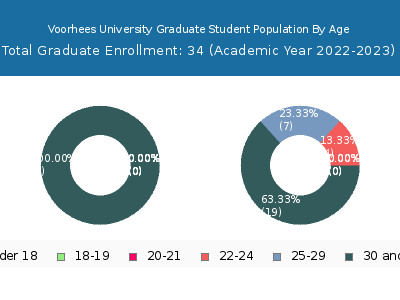 Voorhees University 2023 Graduate Enrollment Age Diversity Pie chart