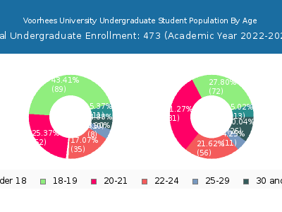 Voorhees University 2023 Undergraduate Enrollment Age Diversity Pie chart