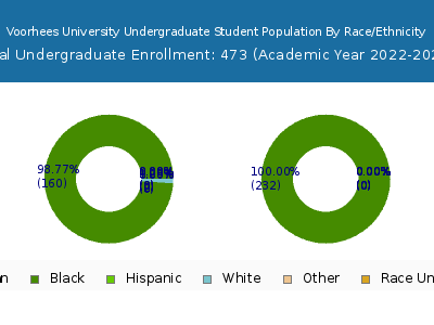 Voorhees University 2023 Undergraduate Enrollment by Gender and Race chart