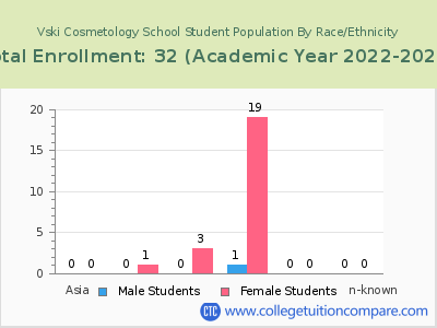 Vski Cosmetology School 2023 Student Population by Gender and Race chart