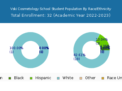 Vski Cosmetology School 2023 Student Population by Gender and Race chart