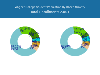 Wagner College 2025 Student Population by Gender and Race chart