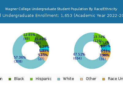 Wagner College 2023 Undergraduate Enrollment by Gender and Race chart