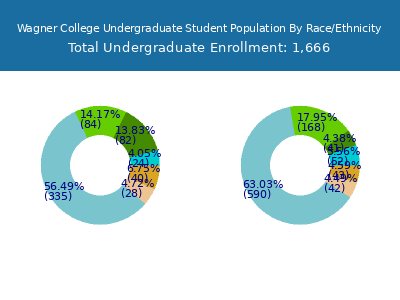 Wagner College 2025 Undergraduate Enrollment by Gender and Race chart
