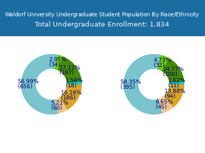 Waldorf University 2025 Undergraduate Enrollment by Gender and Race chart