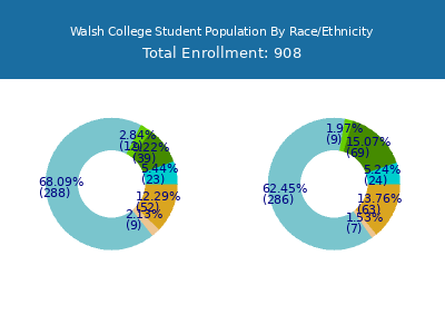 Walsh College 2025 Student Population by Gender and Race chart
