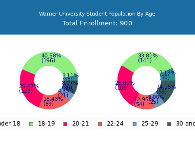 Warner University 2025 Student Population Age Diversity Pie chart