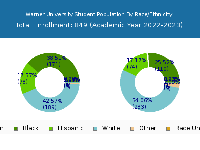 Warner University 2023 Student Population by Gender and Race chart