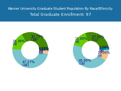 Warner University 2025 Graduate Enrollment by Gender and Race chart