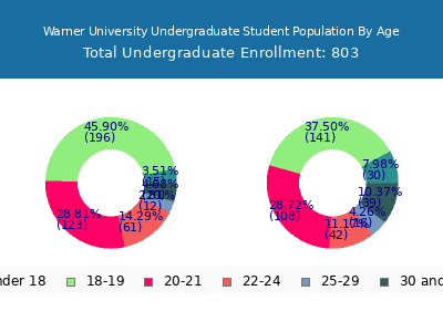 Warner University 2025 Undergraduate Enrollment Age Diversity Pie chart