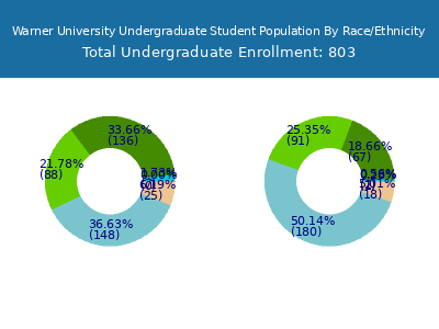 Warner University 2025 Undergraduate Enrollment by Gender and Race chart