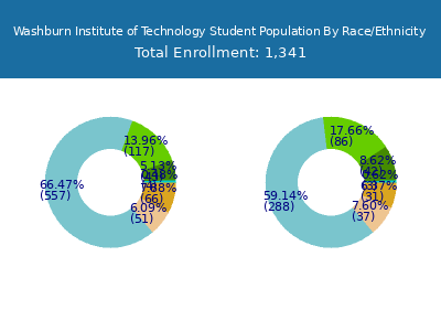 Washburn Institute of Technology 2025 Student Population by Gender and Race chart