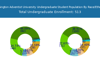 Washington Adventist University 2025 Undergraduate Enrollment by Gender and Race chart