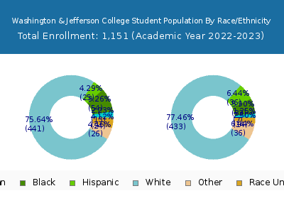 Washington & Jefferson College 2023 Student Population by Gender and Race chart