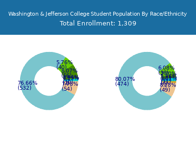Washington & Jefferson College 2025 Student Population by Gender and Race chart