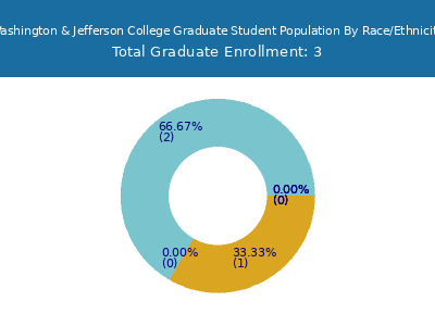 Washington & Jefferson College 2025 Graduate Enrollment by Gender and Race chart