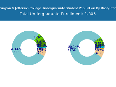 Washington & Jefferson College 2025 Undergraduate Enrollment by Gender and Race chart