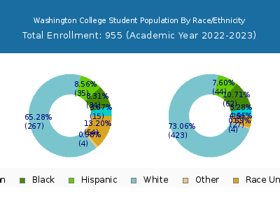 Washington College 2023 Student Population by Gender and Race chart