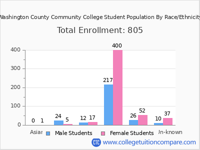 Washington County Community College 2025 Student Population by Gender and Race chart