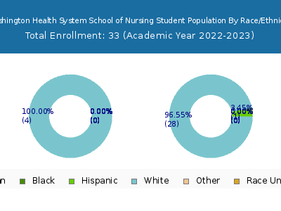 Washington Health System School of Nursing 2023 Student Population by Gender and Race chart