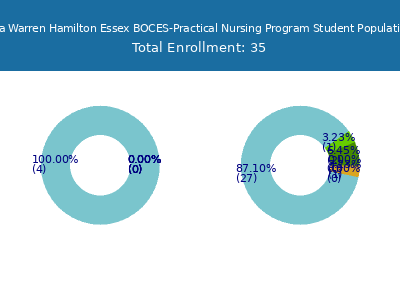 Washington Saratoga Warren Hamilton Essex BOCES-Practical Nursing Program 2025 Student Population by Gender and Race chart