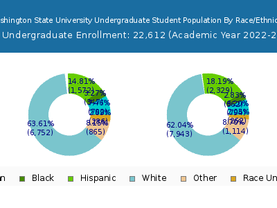 Washington State University 2023 Undergraduate Enrollment by Gender and Race chart