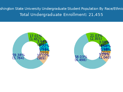 Washington State University 2025 Undergraduate Enrollment by Gender and Race chart