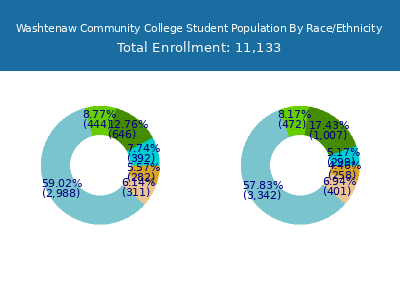 Washtenaw Community College 2025 Student Population by Gender and Race chart
