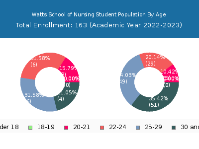 Watts School of Nursing 2023 Student Population Age Diversity Pie chart