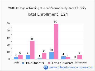 Watts College of Nursing 2025 Student Population by Gender and Race chart