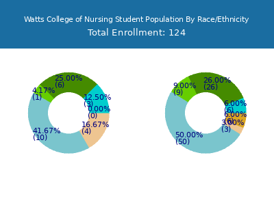 Watts College of Nursing 2025 Student Population by Gender and Race chart