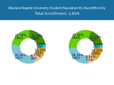 Wayland Baptist University 2025 Student Population by Gender and Race chart