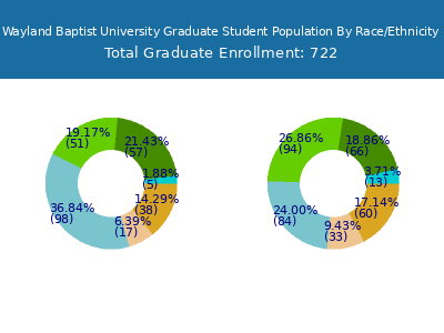 Wayland Baptist University 2025 Graduate Enrollment by Gender and Race chart