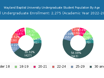 Wayland Baptist University 2023 Undergraduate Enrollment Age Diversity Pie chart