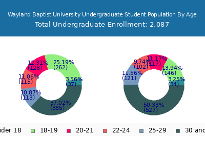 Wayland Baptist University 2025 Undergraduate Enrollment Age Diversity Pie chart