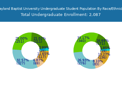 Wayland Baptist University 2025 Undergraduate Enrollment by Gender and Race chart