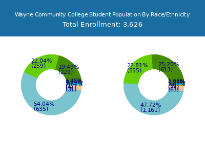 Wayne Community College 2025 Student Population by Gender and Race chart