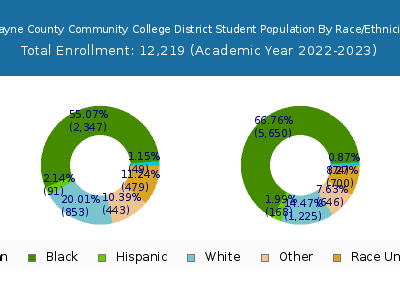 Wayne County Community College District 2023 Student Population by Gender and Race chart