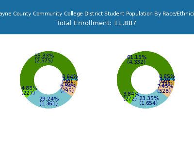 Wayne County Community College District 2025 Student Population by Gender and Race chart