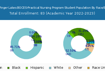Wayne Finger Lakes BOCES-Practical Nursing Program 2023 Student Population by Gender and Race chart