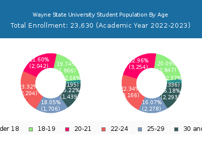 Wayne State University 2023 Student Population Age Diversity Pie chart