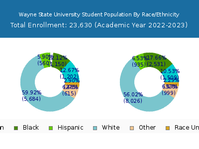 Wayne State University 2023 Student Population by Gender and Race chart