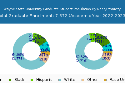 Wayne State University 2023 Graduate Enrollment by Gender and Race chart