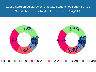 Wayne State University 2025 Undergraduate Enrollment Age Diversity Pie chart