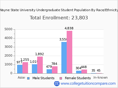 Wayne State University 2025 Undergraduate Enrollment by Gender and Race chart