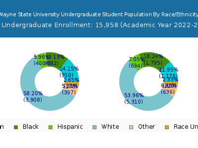 Wayne State University 2023 Undergraduate Enrollment by Gender and Race chart