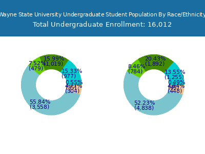 Wayne State University 2025 Undergraduate Enrollment by Gender and Race chart