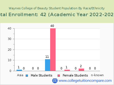 Waynes College of Beauty 2023 Student Population by Gender and Race chart