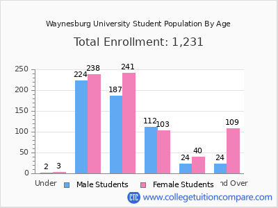 Waynesburg University 2024 Student Population by Age chart