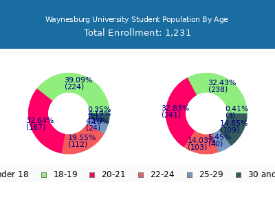 Waynesburg University 2024 Student Population Age Diversity Pie chart